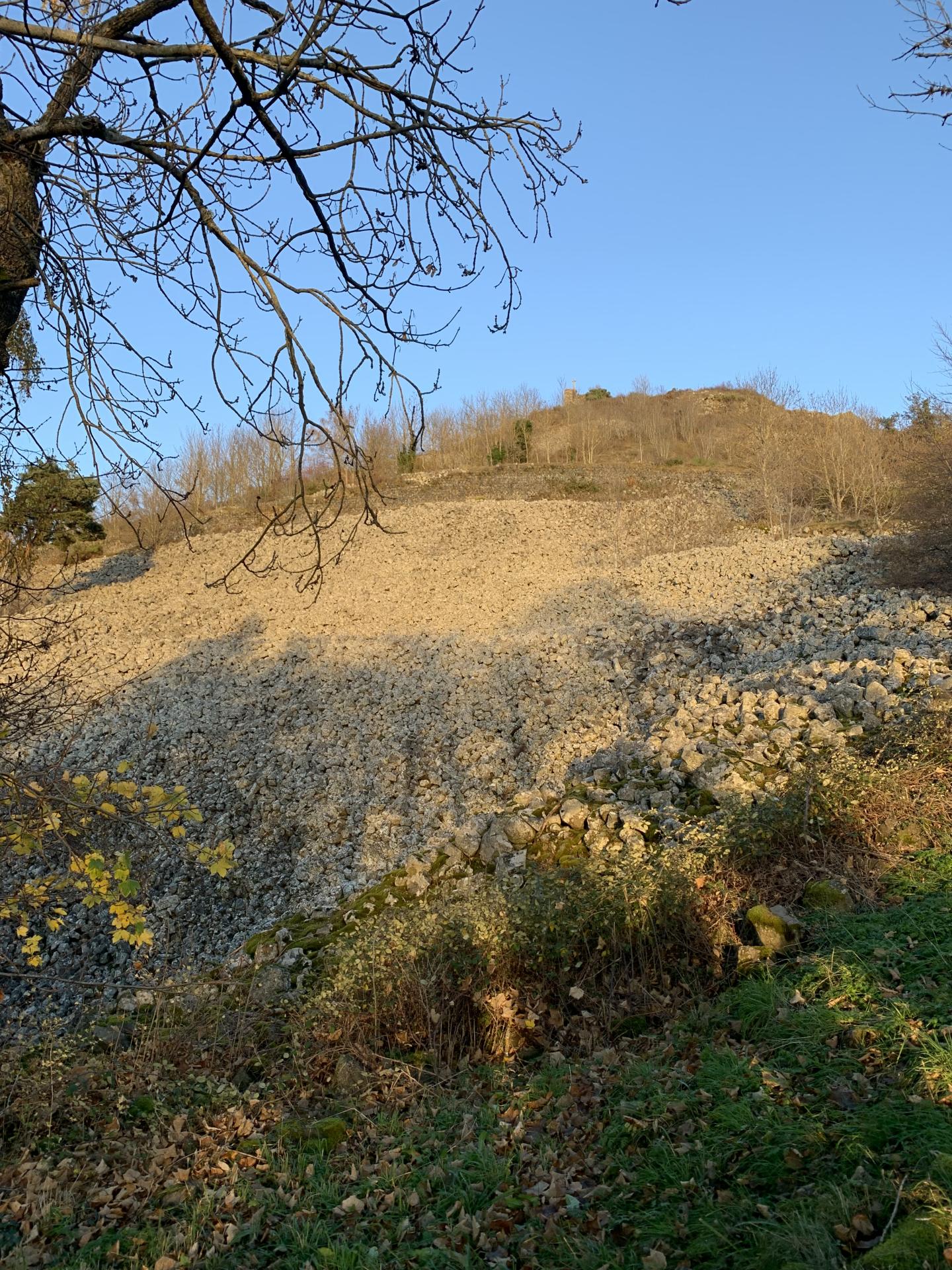 Pied du suc de Chapteuil